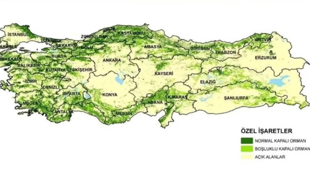 Türkiye’nin en yeşil şehri açıklandı